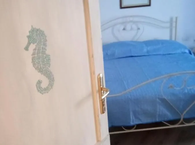 Asfodelia-cavalluccio Πανσιόν 3*